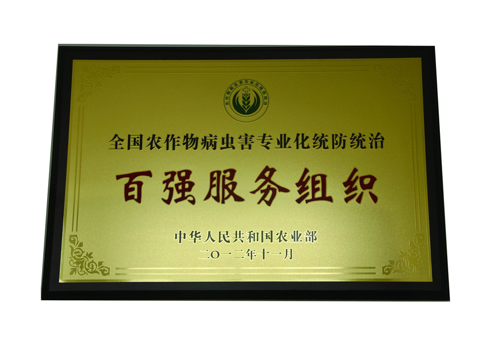 荣誉证书