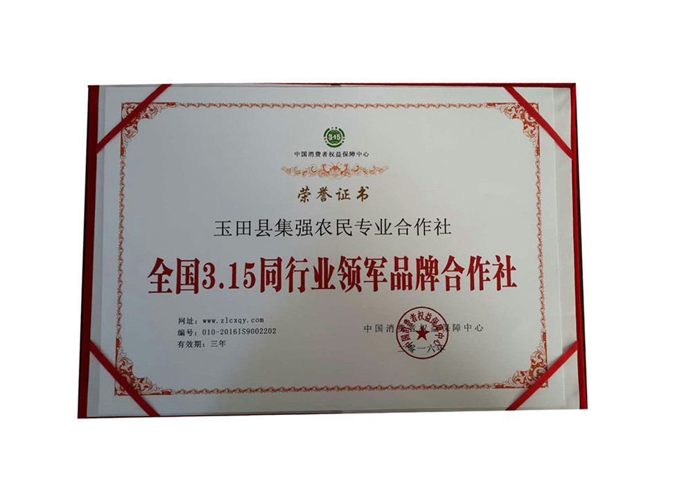 荣誉证书