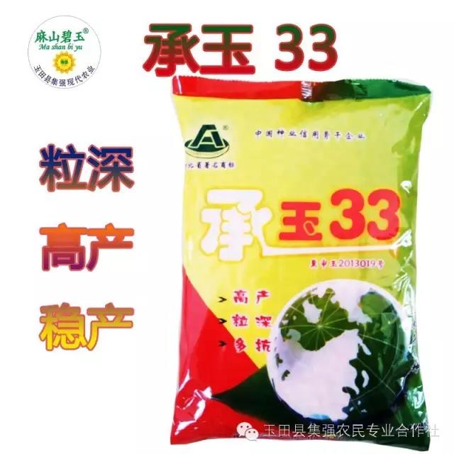 承玉33